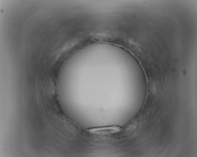 X0000062841253200601272007