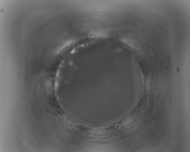 X0000062841254200601272007