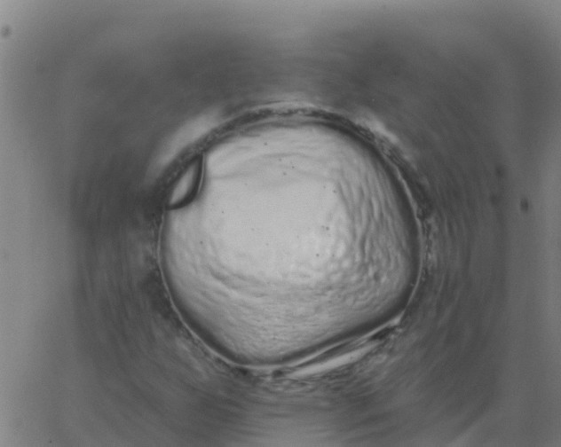 X0000062841255200601272007