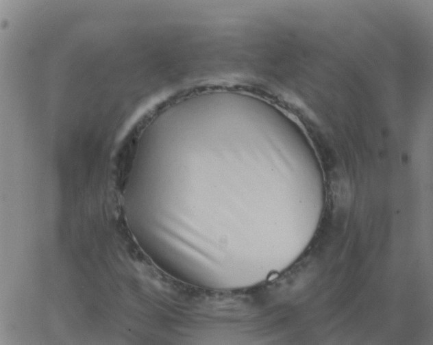 X0000062841256200601272007