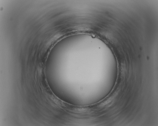 X0000062841257200601272007