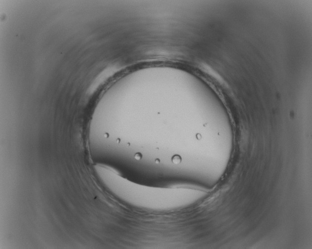 X0000062841259200601272007