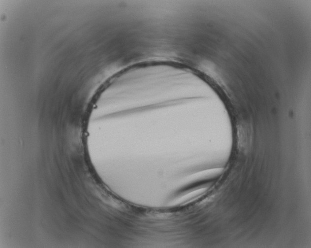 X0000062841260200601272007