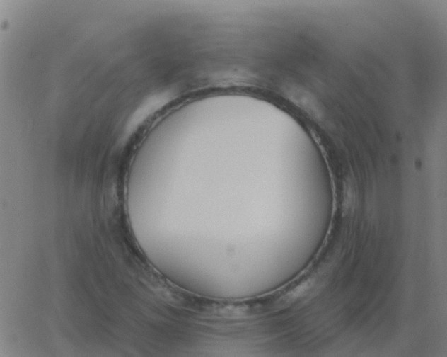 X0000062841261200601272007