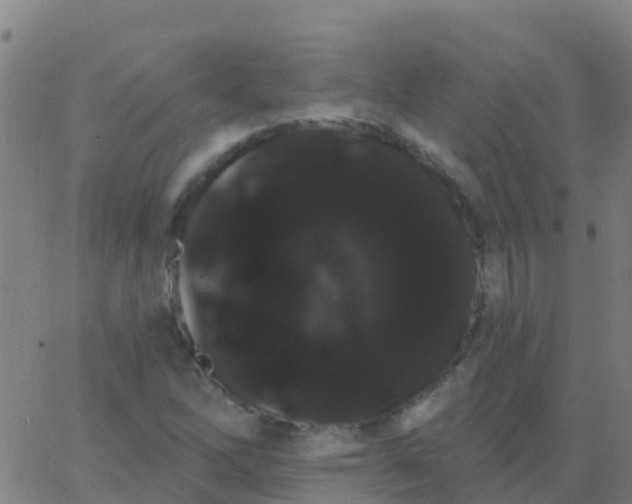 X0000062841262200601272007