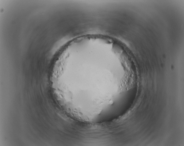 X0000062841263200601272007