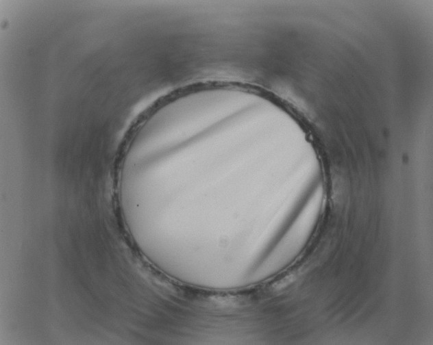 X0000062841264200601272007