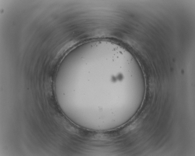 X0000062841265200601272007