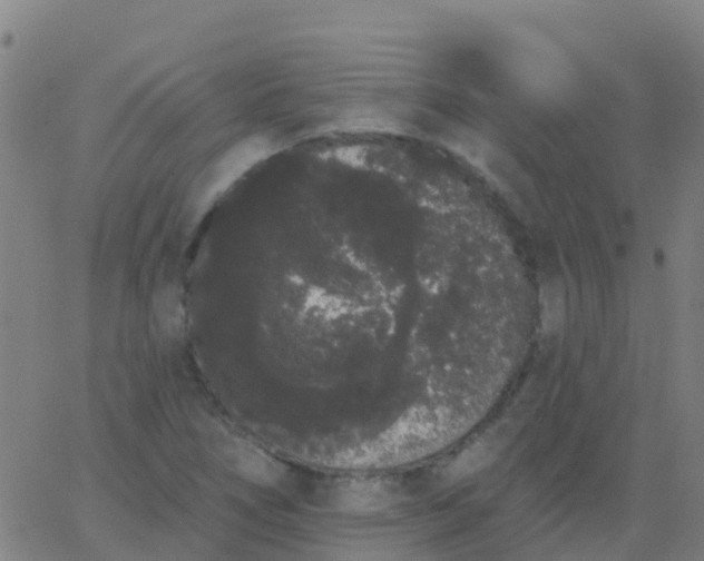 X0000062841266200601272007