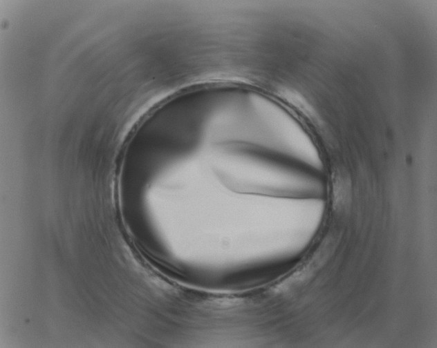 X0000062841268200601272007