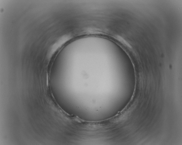 X0000062841269200601272007