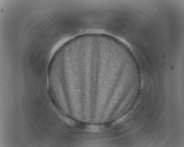 X0000062841271200601272007