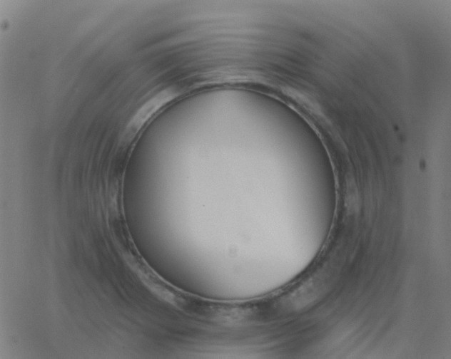 X0000062841273200601272007