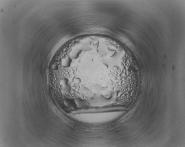 X0000062841275200601272007