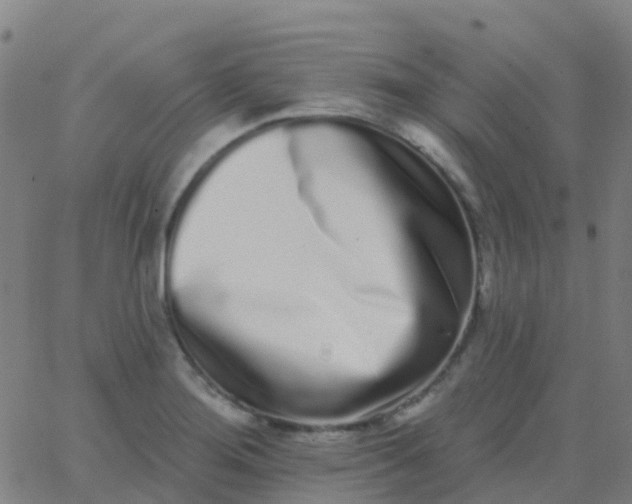 X0000062841276200601272007