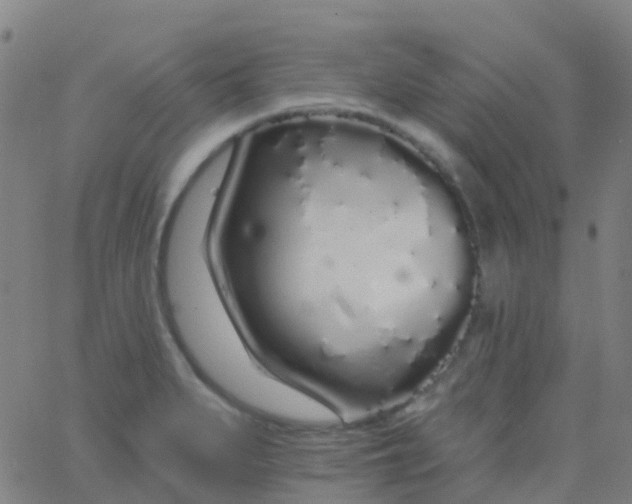 X0000062841279200601272007