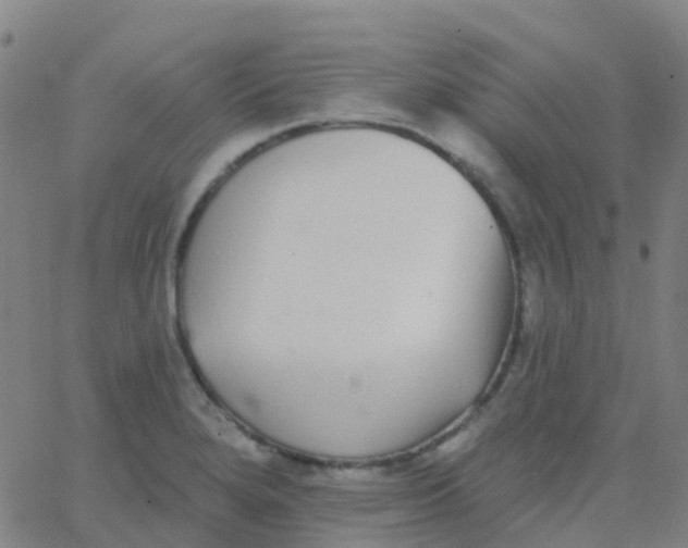 X0000062841280200601272007