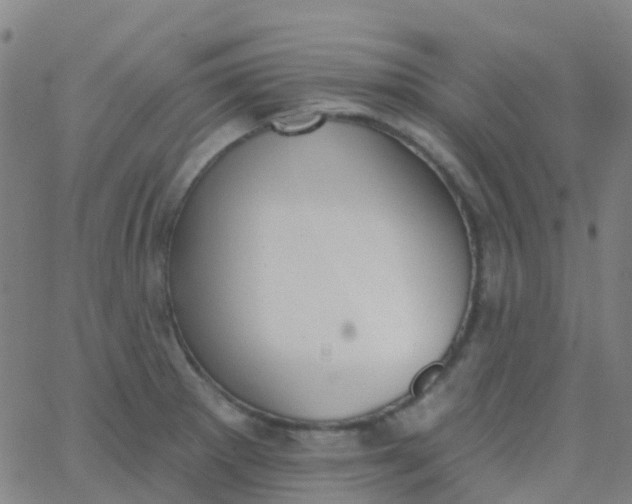 X0000062841281200601272007