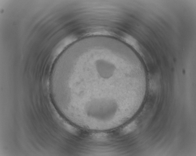 X0000062841282200601272007