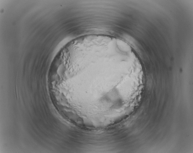 X0000062841283200601272007