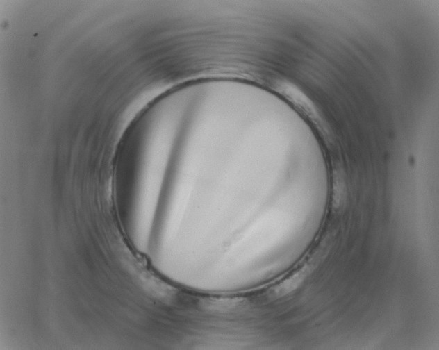 X0000062841284200601272007