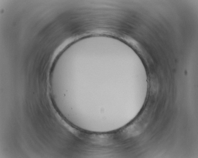 X0000062841286200601272007