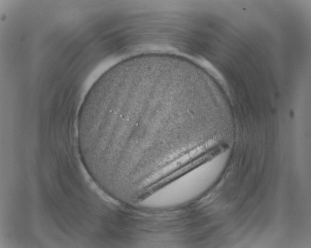 X0000062841287200601272007