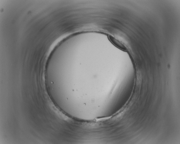 X0000062841288200601272007