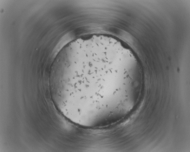 X0000062841289200601272007