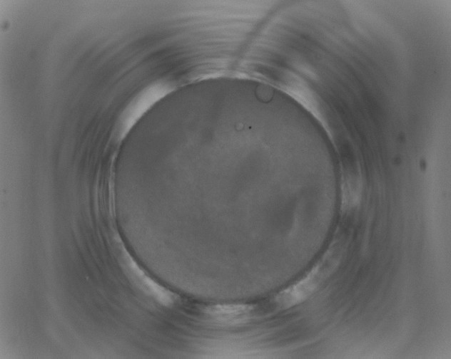 X0000062841290200601272007