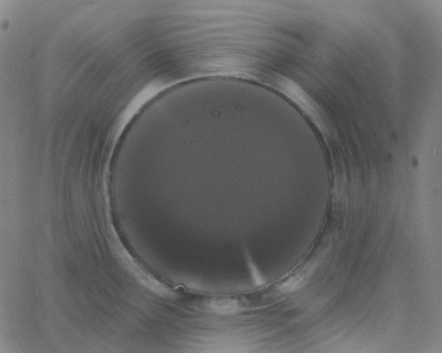 X0000062841291200601272007