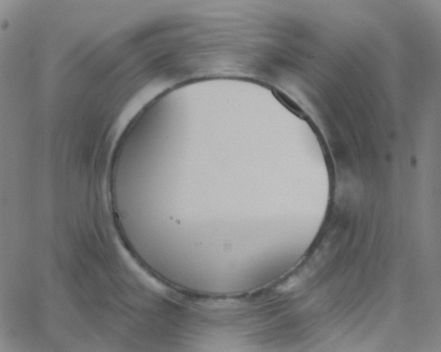 X0000062841293200601272007