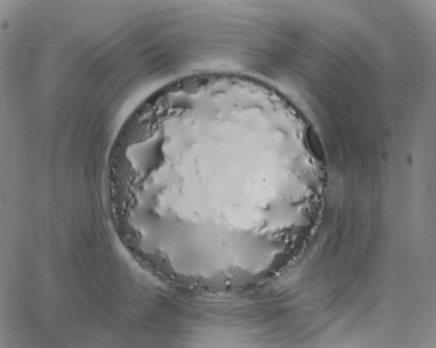 X0000062841295200601272007