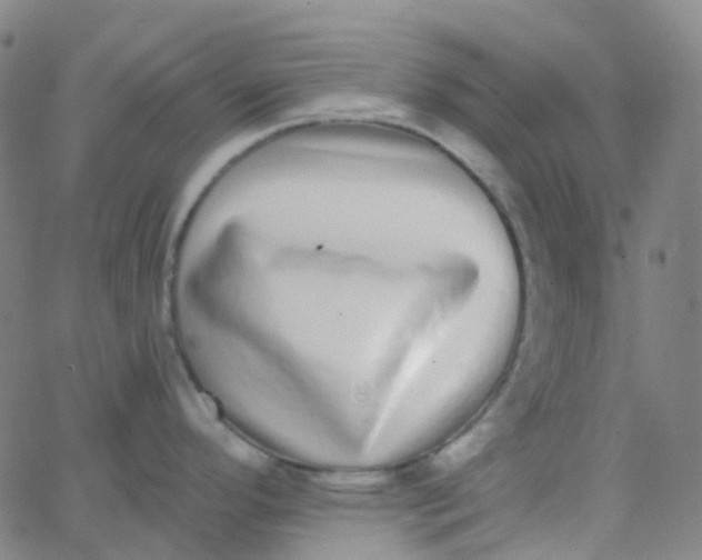 X0000062841296200601272007