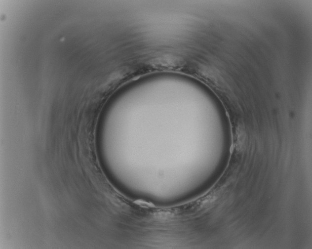 X0000062841297200601272006