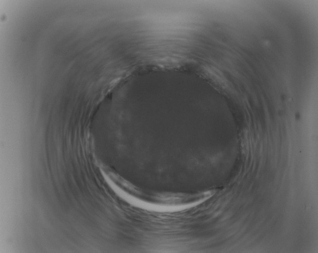 X0000062841298200601272006