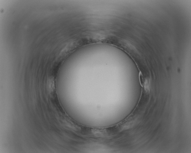 X0000062841299200601272006