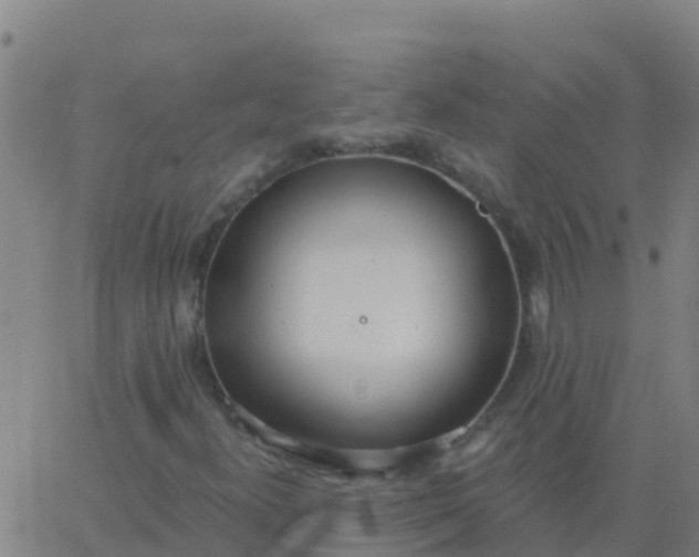 X0000062841300200601272006