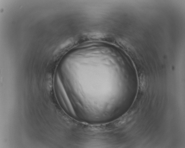 X0000062841301200601272006