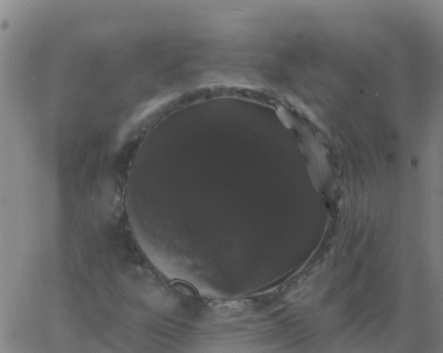 X0000062841303200601272006