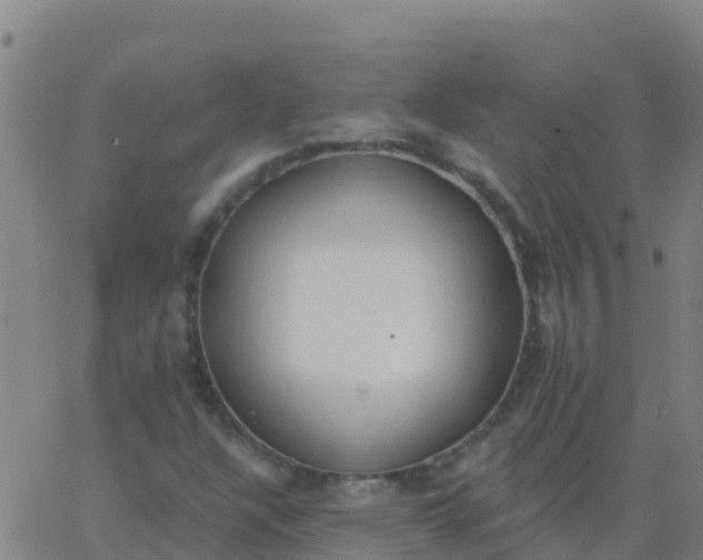 X0000062841304200601272006