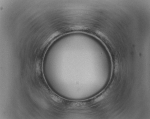 X0000062841305200601272006