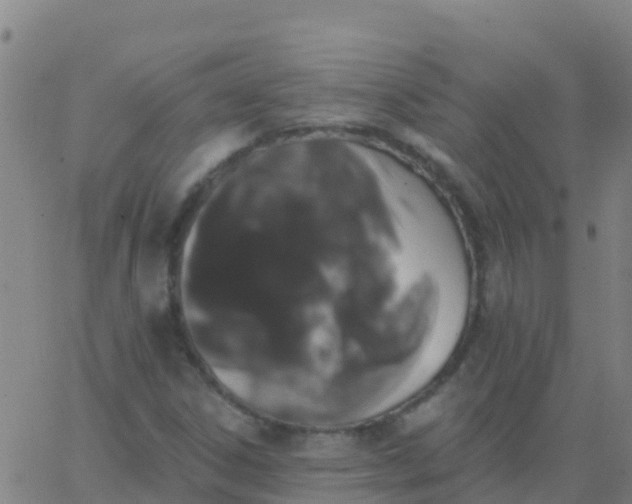 X0000062841306200601272006