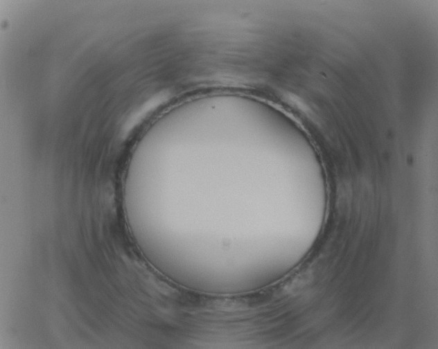 X0000062841307200601272006