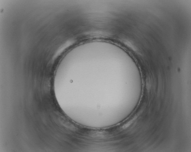 X0000062841309200601272006