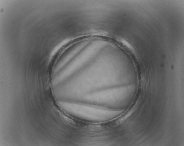 X0000062841310200601272006