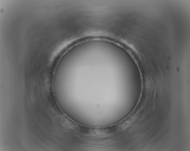 X0000062841311200601272006