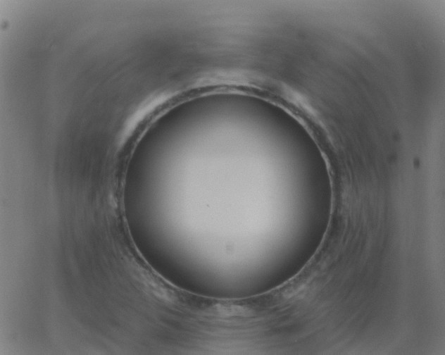 X0000062841312200601272006