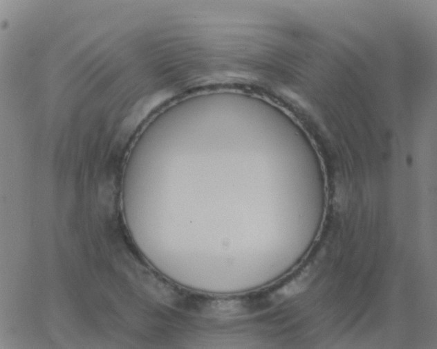 X0000062841313200601272006