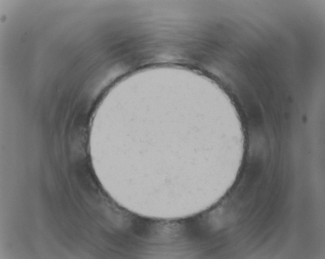 X0000062841314200601272006